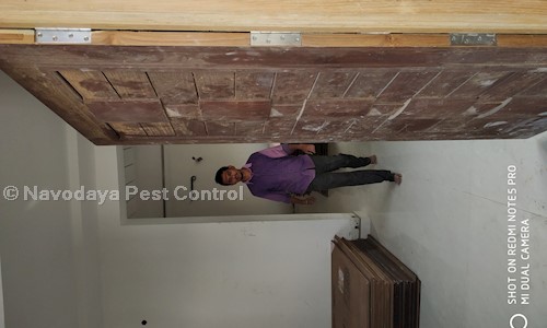 Navodaya Pest Control - Pest Control in Musheerabad, Hyderabad