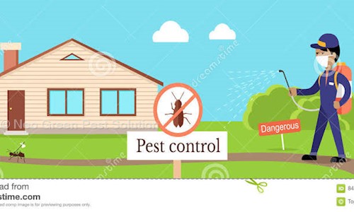 Neo Green Pest Solution - Pest Control in Patia, Bhubaneswar