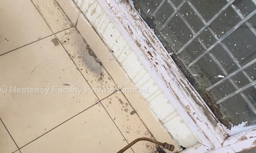 Nesteasy Facility Private Limited - Pest Control in Najafgarh, Delhi