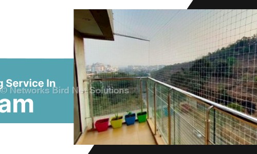 Networks Bird Net Solutions - Pest Control in Rajiv Colony, Gurgaon