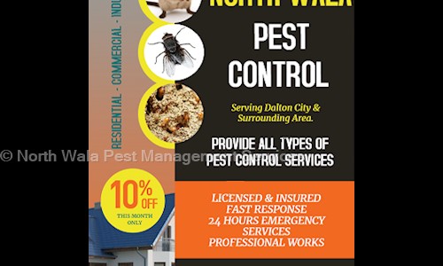North Wala Pest Management Services - Pest Control in Heera Nagar, Haldwani