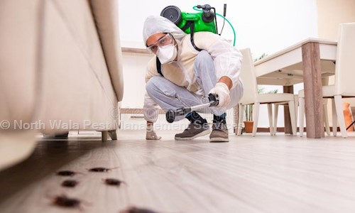 North Wala Pest Management Services - Pest Control in Jagatpura, Rudrapur