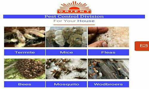Orient pest control division - Pest Control in Telibagh, Lucknow