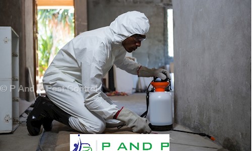 P And P Pest Control - Pest Control in Motera, Ahmedabad