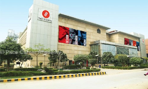 Pace Career Academy - Job Training in Naraina Industrial Phase 1, Delhi