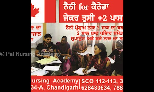 Pal Nursing Academy - Job Training in Highway Zirakpur, Chandigarh