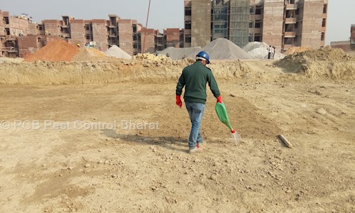 PCB Pest Control Bharat - Pest Control in Chinhat, Lucknow