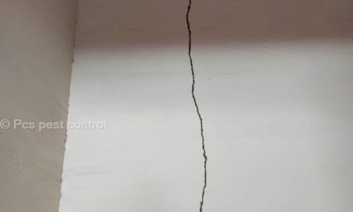 Pcs pest control - Pest Control in Pratap Nagar, Jaipur