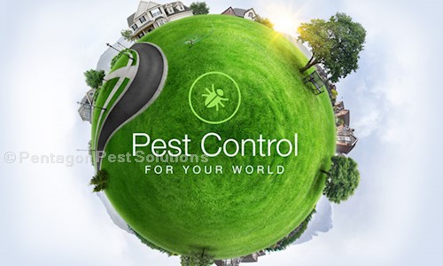 Pentagon Pest Solutions - Pest Control in Koramangala, Bangalore