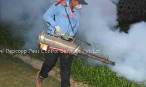 Pepcopp Pest Control Services Pvt. Ltd. - Pest Control in Borivali East, Mumbai