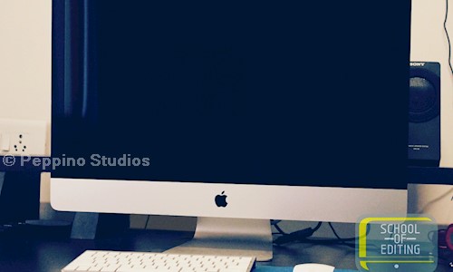 Peppino Studios - Job Training in Ernakulam, Cochin