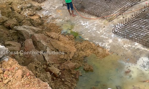 Pest Control Solutions - Pest Control in Behala, Kolkata