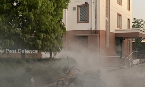 Pest Defence - Pest Control in Rohini, Delhi