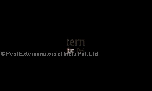 Pest Exterminators of India Pvt.Ltd. - Pest Control in Parrys, Chennai