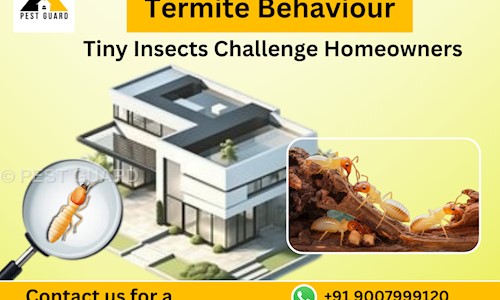 PEST GUARD - Pest Control in Malancha Mahi Nagar, Kolkata