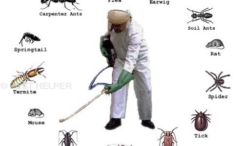 PEST HELPER - Pest Control in Mahalakshmi Layout, Bangalore