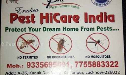 Pest Hicare India - Pest Control in Lucknow Road, Lucknow