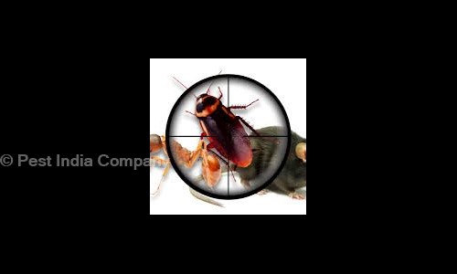 Pest India Company - Pest Control in Mahalaxmi Nagar, Indore