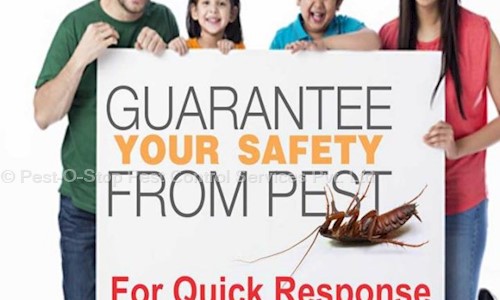 Pest-O-Stop Pest Control Services Pvt. Ltd. - Pest Control in Worli, Mumbai