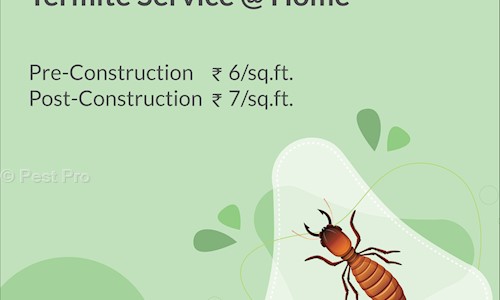 Pest Pro - Pest Control in RT Nagar, Bangalore