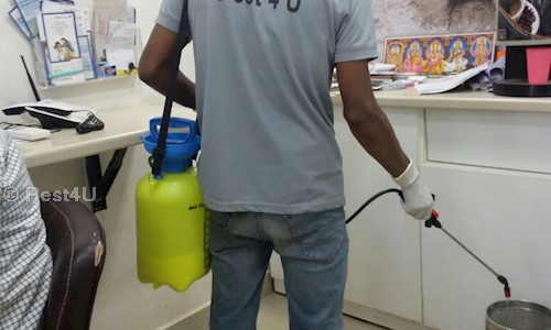Pest4U - Pest Control in Ambattur, Chennai