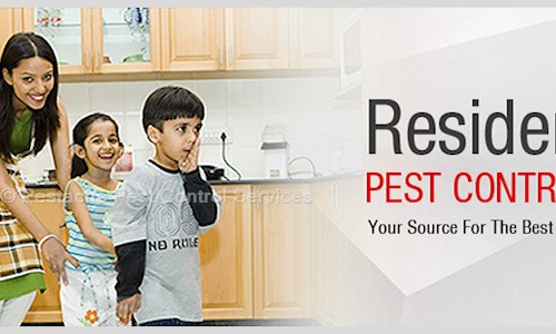 Pestache Pest Control Services - Pest Control in Dadar East, Mumbai