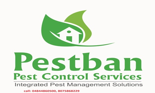 Pestban Pest Control Services - Pest Control in Kaloor, Cochin