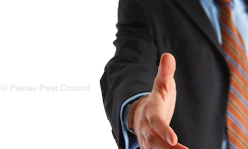 Pester Pest Control - Pest Control in Kasba, Kolkata