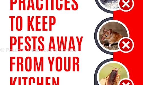 Pestico - Pest Control Service - Pest Control in Tollygunge, Kolkata