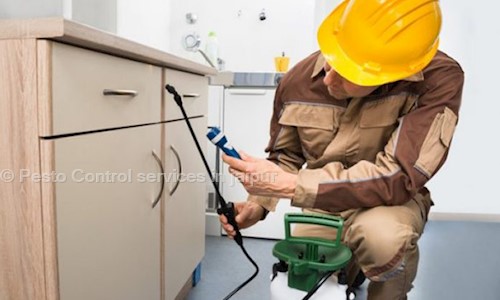 Pesto Control services in jaipur - Pest Control in Sirsi Road, Jaipur