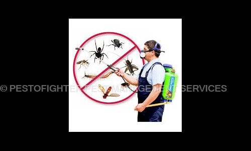Pestofighter Pest Management Services - Pest Control in Manjari Budruk, Pune