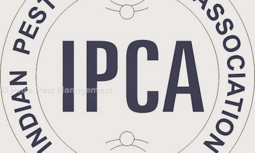 Petra Pest Management - Pest Control in Indirapuram, Ghaziabad