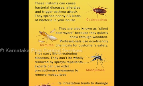 Karnataka Pest Control Services - Pest Control in Yeshwanthpur, Bangalore