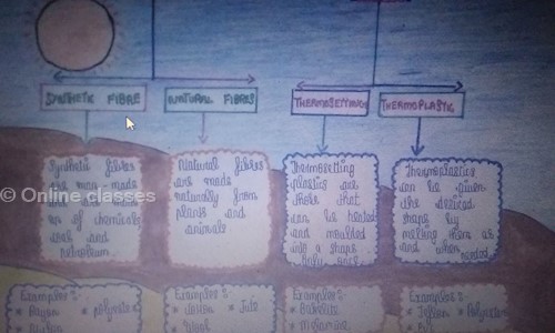 Himani mishra Online classes - School Tuitions in Amravati Camp, Amravati