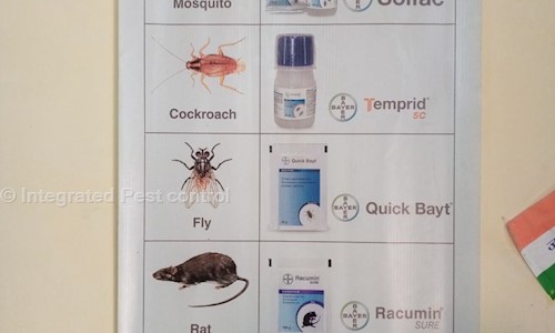 Integrated Pest Control - Pest Control in Gomti Nagar, Lucknow