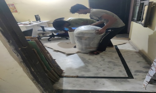 Maple Packers & Logistics - Packers and Movers in Rangpuri, Delhi