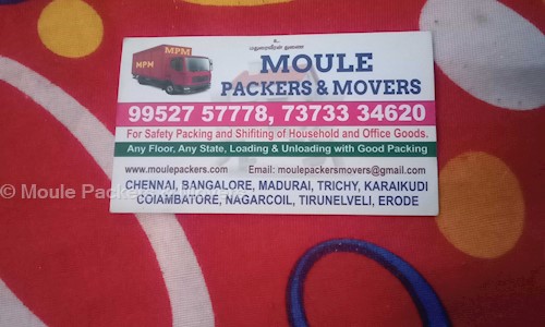Moule Packers & Movers - Packers and Movers in Ellis Nagar, Madurai