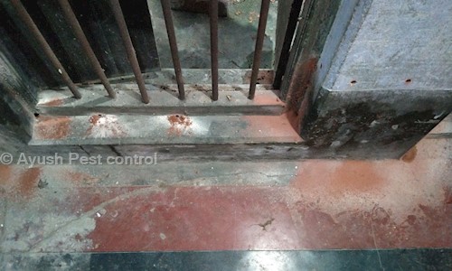 Ayush Pest control - Pest Control in Khidderpore, Kolkata