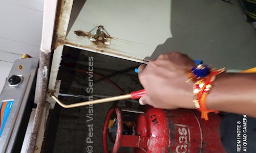 Pest Vision Services - Pest Control in Amberpet, Hyderabad