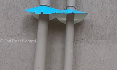 Ovi Pest Control - Pest Control in Parel, Mumbai