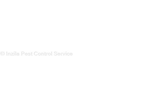 Inzila Pest Control Service - Pest Control in Kokar, Ranchi
