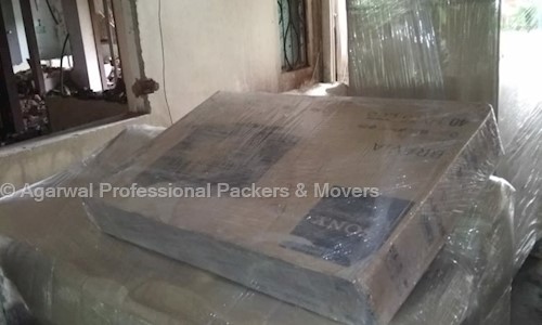 Agarwal professional Packers And Movers  - Packers and Movers in Sejbahar, Raipur