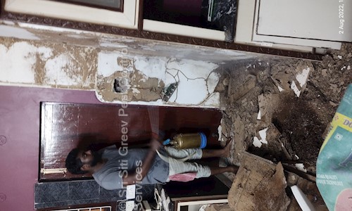 Sri Siti Greev Pest Control Services - Pest Control in Seethammapeta, Visakhapatnam