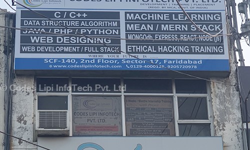 Codes Lipi Infotech Pvt Ltd - Finance & Accounting tuitions in Sector 17, Faridabad