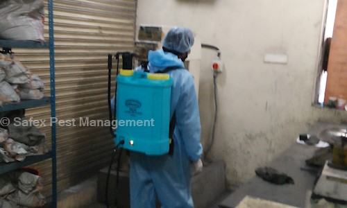 Safex Pest Management - Pest Control in Parvati Nagar, Nagpur