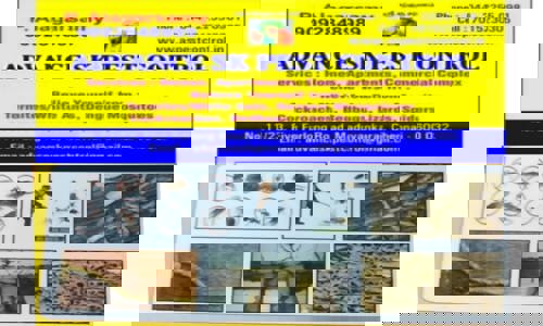 Advance Shan Pest Control - Pest Control in Guindy, Chennai