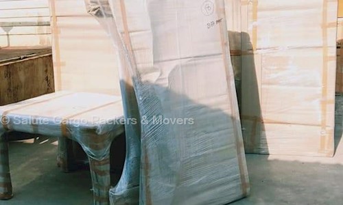 Salute Cargo packers and movers - Packers and Movers in New Defence Colony, Zirakpur