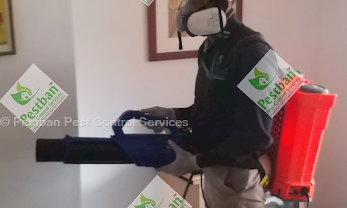 Pestban Pest Control Services - Pest Control in Kaloor, Cochin