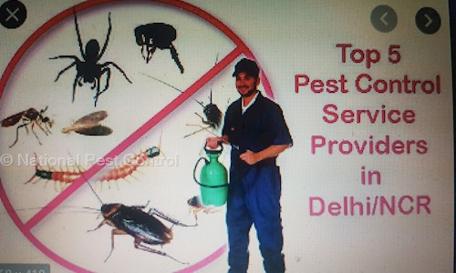 National Pest Control - Pest Control in Munirka, Delhi
