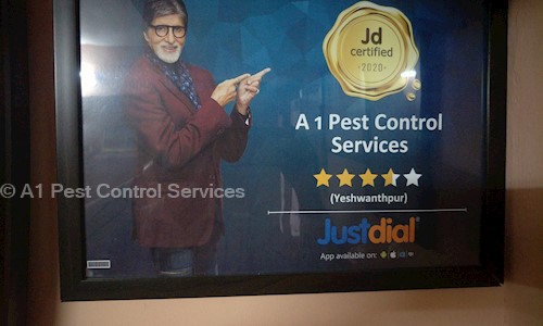 KMD Groups - Pest Control in Mathikere, Bangalore